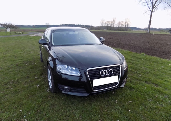 Audi A3 cena 26900 przebieg: 164000, rok produkcji 2010 z Szprotawa małe 407